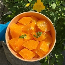 ส้มซันคิสต์ Navel Sunkist