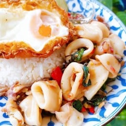 ข้าวกะเพราปลาหมึก ไข่ดาว