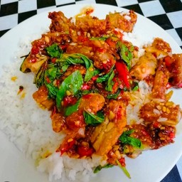 ไก่กรอบ ผัดกะเพรา ราดข้าว