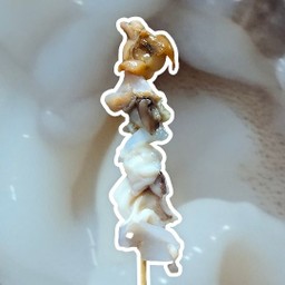 คอหมึกเปรู ย่าง