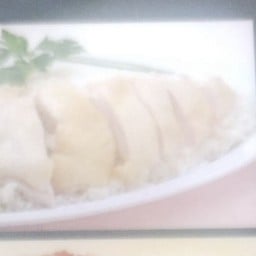 ข้าวมันไก่ต้ม