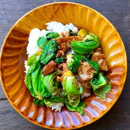 ผัดแขนงราดข้าว