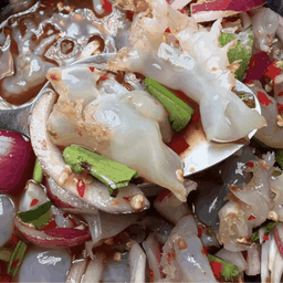 ยำแมงกะพรุน