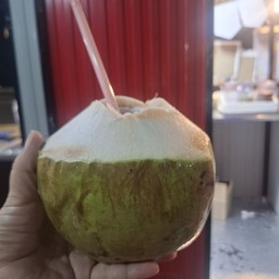 มะพร้าวน้ำหอม