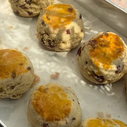 Cranberry Scone + cream