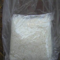 รักเรา กะเพราเลย