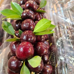 เชอร์รี่ชิลี 500 กรัม/กล่อง