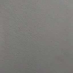 ข้าวจี่