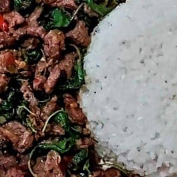 สุดจัด ผัดกระเพรา หัวทะเล