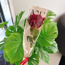 ดอกไม้สีแดง 1ดอก
