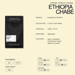 ( Ethiopia Chabe ) by Terroir Lab