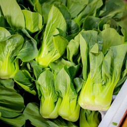 กวางตุ้งใต้หวัน ชุดละ