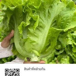 N'See หมี่คลุกไก่ฉีก สาขามาบยางพร สาขามาบยางพร