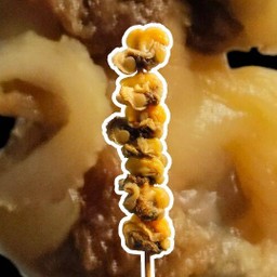 หอยแครงย่าง