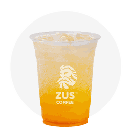 Iced Fizzy Orange