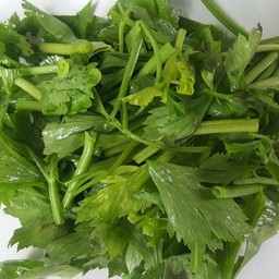 ขึ้นฉ่าย ชุดละ