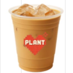 Plant Coffee กระบี่