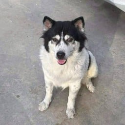 สตางค์ชอบกินขนมคับ