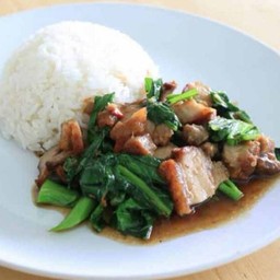 ข้าวราดคะน้าหมูกรอบ #80