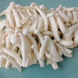 เห็ดชิเมจิ ชุดละ