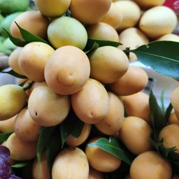 มะปรางหวาน 1 กก.