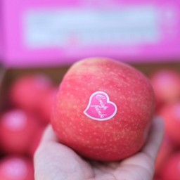 แอปเปิ้ลพิ้งค์เลดี้ 1 กิโล