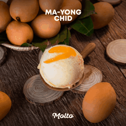 Molto Gelato (มอลโต เจลาโต้) Central Rayong