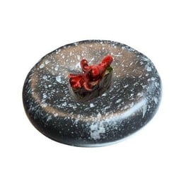 S45 ทาโกะจัง