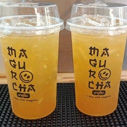 ชาผู้การ (มา-กู-โระ)