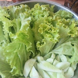 ผักสดดดจร้าาา