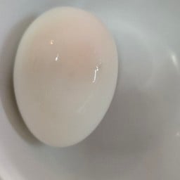 ไข่ต้ม