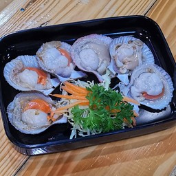 หอยเชลล์ 6ตัว