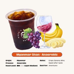 Myanmar Shan - Anaerobic