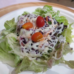 สลัดผัก