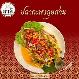ปลากะพงลุยสวน (Ikan siakap lui suan)