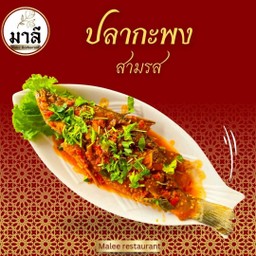 ปลากะพงสามรส(เป็นตัว)
