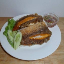 ข้าวปลาแกะ มธ. ตลาดเที่ยงคืน