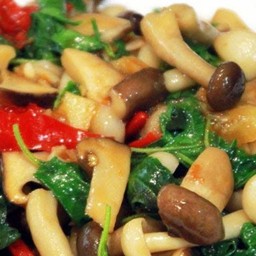 ผัดกะเพราเห็ด ราดข้าว มังสวิรัติ อร่อยๆๆ