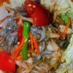 @1 . ตำลั่นลาวลั่นทุ่งกุ้งฝอยสด ( เป็นกุ้งฝอยสดน๊อกน้ำแข็งนะคะ)ตำคลุกใปเลยค่ะ