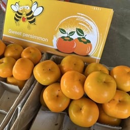 พลับจีน XXL 1 ลูก