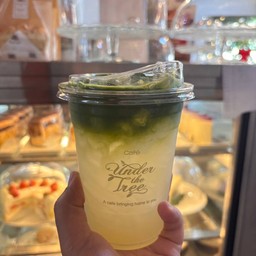 HONEY LEMON UJI MATCHA