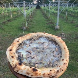 พิซซ่ากลางสวน Pizza Klangsuan Kamphaengphet