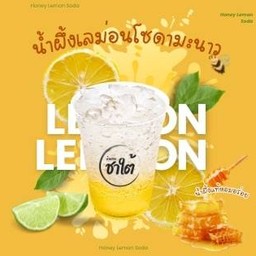 บ้านสวนชาใต้