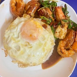 ข้าวกระเพรากุ้ง(ราดข้าว)