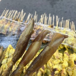 ฮาฟีน่า