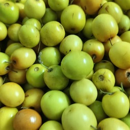 พุทชาเล็ก