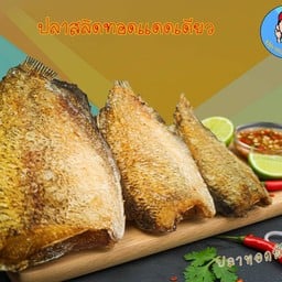 ปลาสลิดไซส์อ้วน