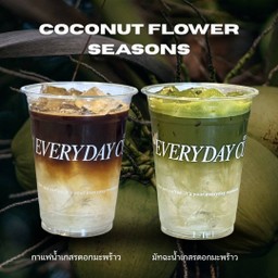 ฤดูกาลน้ำตาลเกสรดอกมะพร้าว | Coconut Flower Season