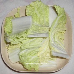 ผักกาดขาว