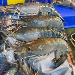 กุ้งสด กุ้งเผา แซ่บซี๊ดดด